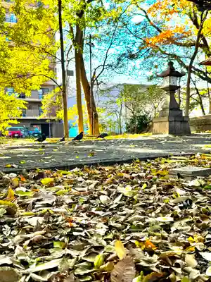 三栖神社(京都府)