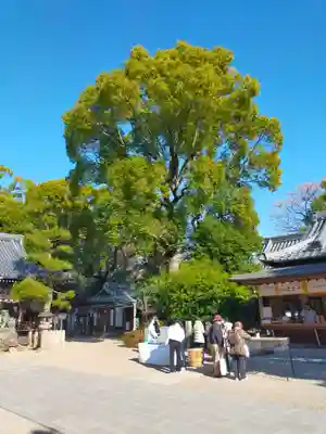 杭全神社(大阪府)