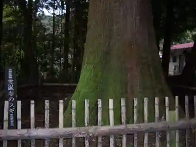雲巌寺(栃木県)
