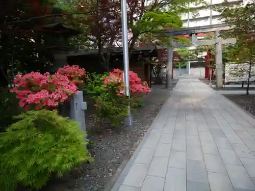 彌彦神社　(伊夜日子神社)の鳥居