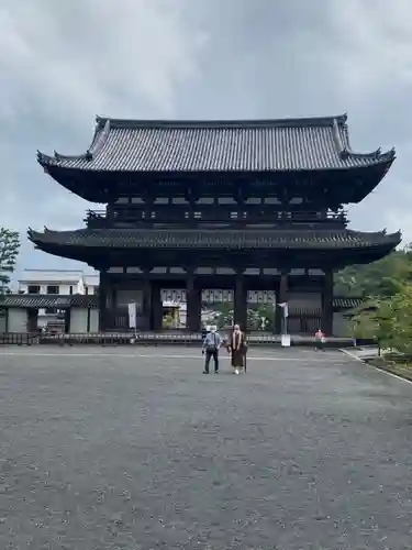 仁和寺の山門