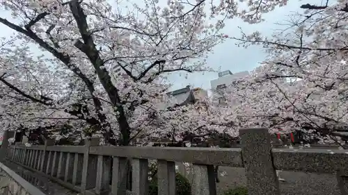 天孫神社(滋賀県)