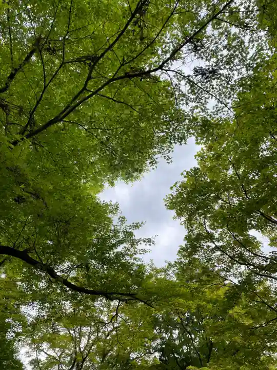 柳谷観音 楊谷寺(京都府)