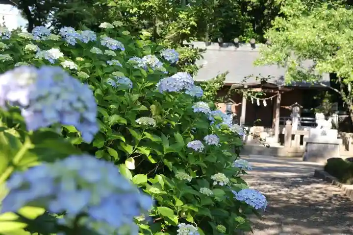 開成山大神宮の末社・摂社