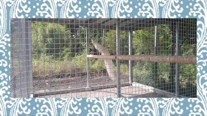 進雄神社(群馬県)