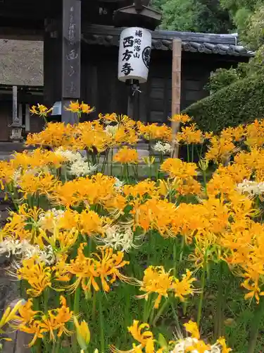 横浜　西方寺(神奈川県)