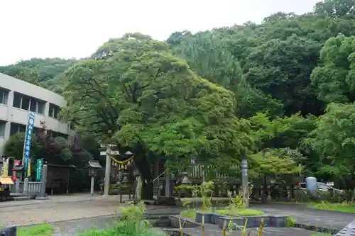 橿森神社の周辺