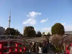 亀戸天神社の景色