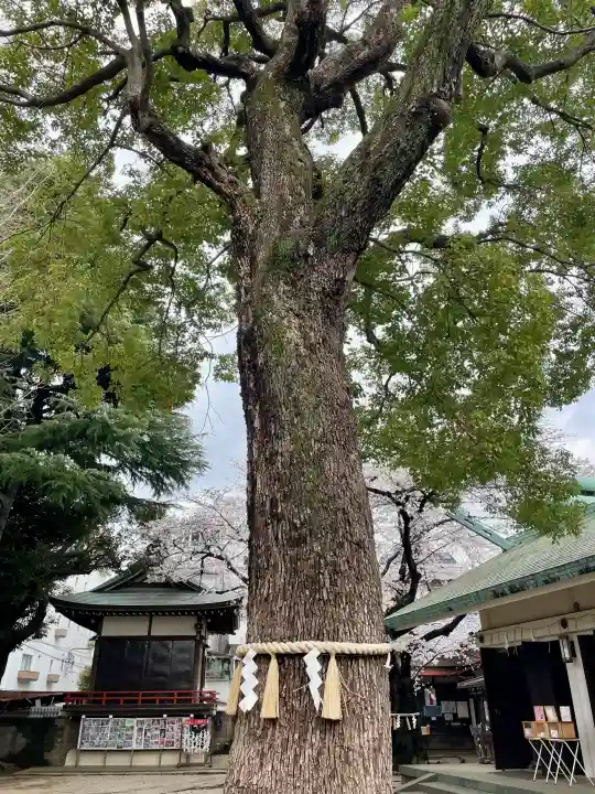 駒込天祖神社の{uncategorized: "未分類", other: "その他", undefined: "問題あり", building: "その他建物", grave: "お墓", sacred_gate: "鳥居", guardian: "狛犬", statue: "像", buddha: "仏像", history: "歴史", nature: "自然", garden: "庭園", animal: "動物", pagoda: "塔", temizu: "手水舎", mountain_gate: "山門・神門", sanctuary: "本殿・本堂", subordinate: "末社・摂社", art: "芸術", scenery: "景色", jizo: "地蔵", ema: "絵馬", goshuin: "御朱印", omikuji: "おみくじ", items: "授与品その他", amulet: "お守り", goshuincho: "御朱印帳", eats: "食事", festival: "お祭り", votive_dance: "神楽", shichigosan: "七五三参", wedding: "結婚式", experience: "体験その他", initially: "初詣", around: "周辺", anti_infection: "感染症対策"}