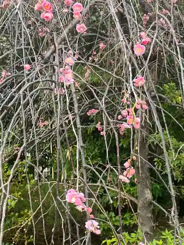 稲毛浅間神社(千葉県)