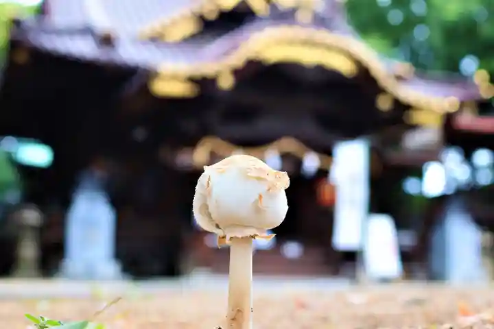 三津厳島神社の自然