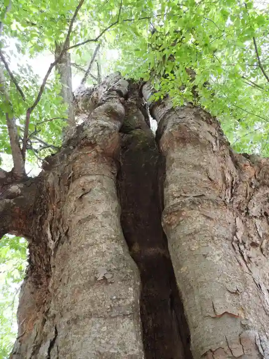 前山寺(長野県)