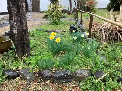 橋寺 放生院(京都府)