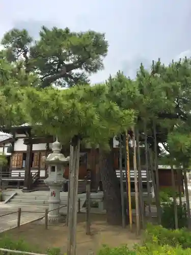 南蔵院のその他建物