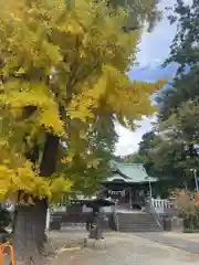 大曽根八幡神社(埼玉県)