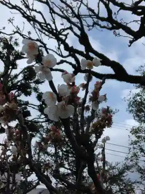 円乗院(東京都)