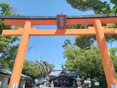 金岡神社の鳥居