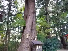 鎮守府八幡宮の建物その他