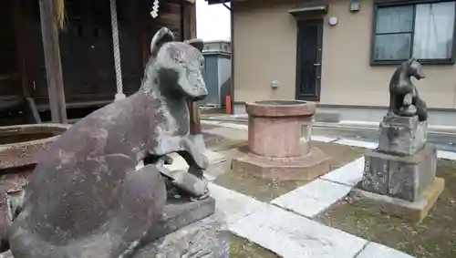 徳島稲荷神社の狛犬