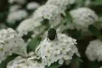 海龍王寺(奈良県)