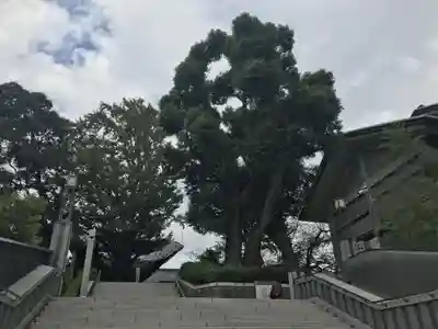 日枝神社のその他建物