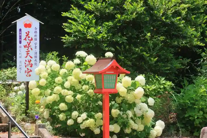 神炊館神社 ⁂奥州須賀川総鎮守⁂の景色