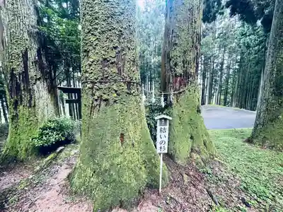 槻神社(愛知県)