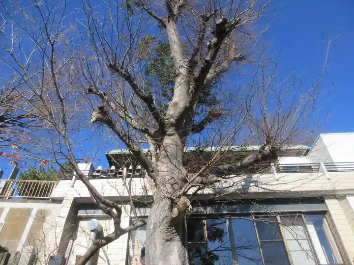蓮花院(神奈川県)