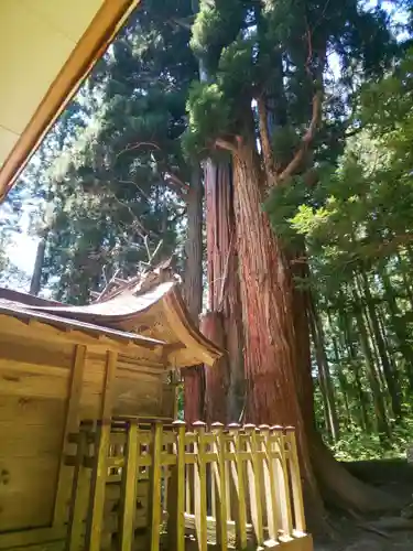 高倉神社の本殿・本堂
