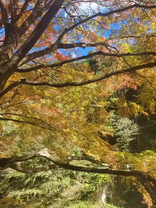 蓬莱神社の自然
