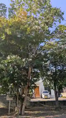 月讀神社(京都府)
