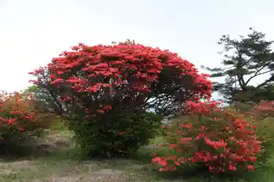 高柴山神社の周辺