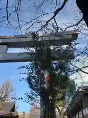 熊野神社の建物その他