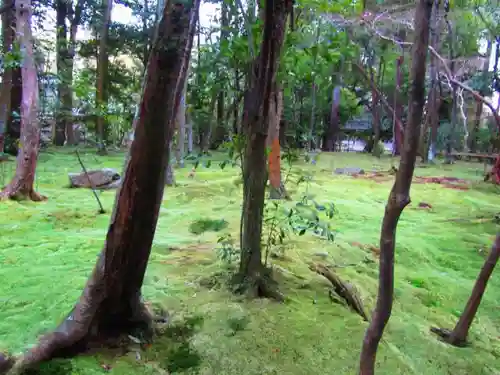 秋篠寺の自然