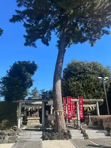 中野沼袋氷川神社(東京都)