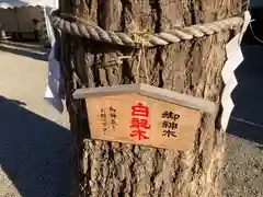 田無神社(東京都)