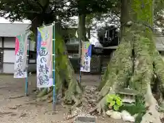 八枝神社(埼玉県)