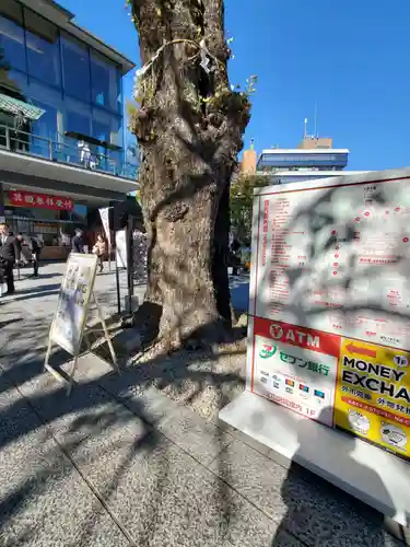 神田神社（神田明神）(東京都)