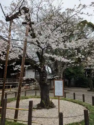 靖國神社(東京都)