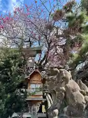 須賀神社(京都府)