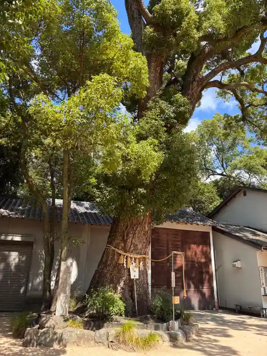 生瀬皇太神社の自然