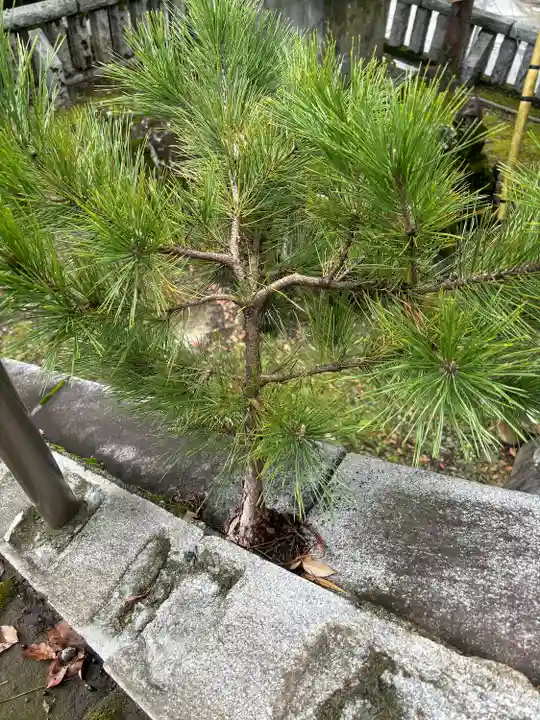 湯前神社(静岡県)