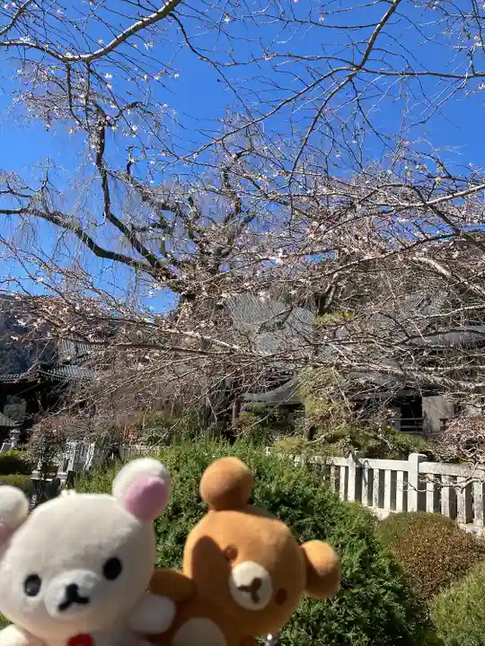 久遠寺(山梨県)