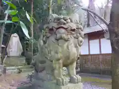 五所駒瀧神社の狛犬