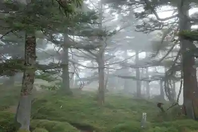弥山神社(天河大辨財天社奥宮)の周辺