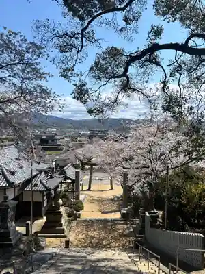勝岡八幡神社(愛媛県)