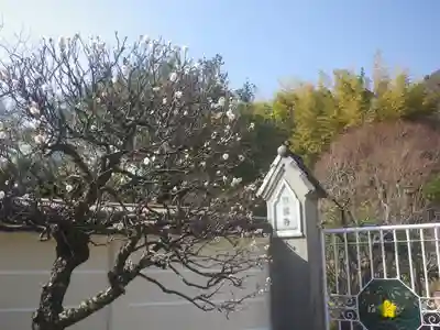 英勝寺のその他建物