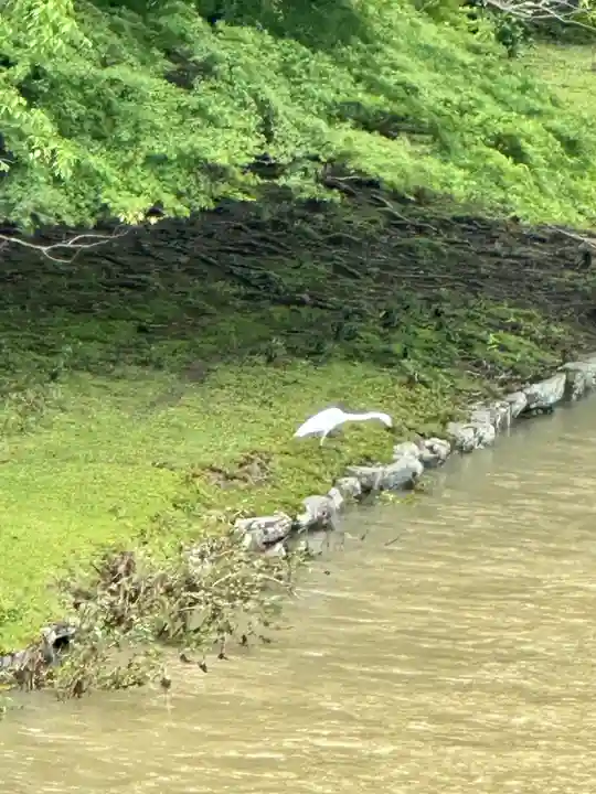伊勢神宮内宮(皇大神宮)(三重県)