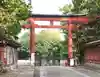 武蔵一宮氷川神社の鳥居