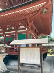 慈尊院(和歌山県)